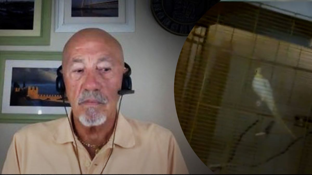 Папуга заспівав гімн Реала Папуга заспівав гімн Реала