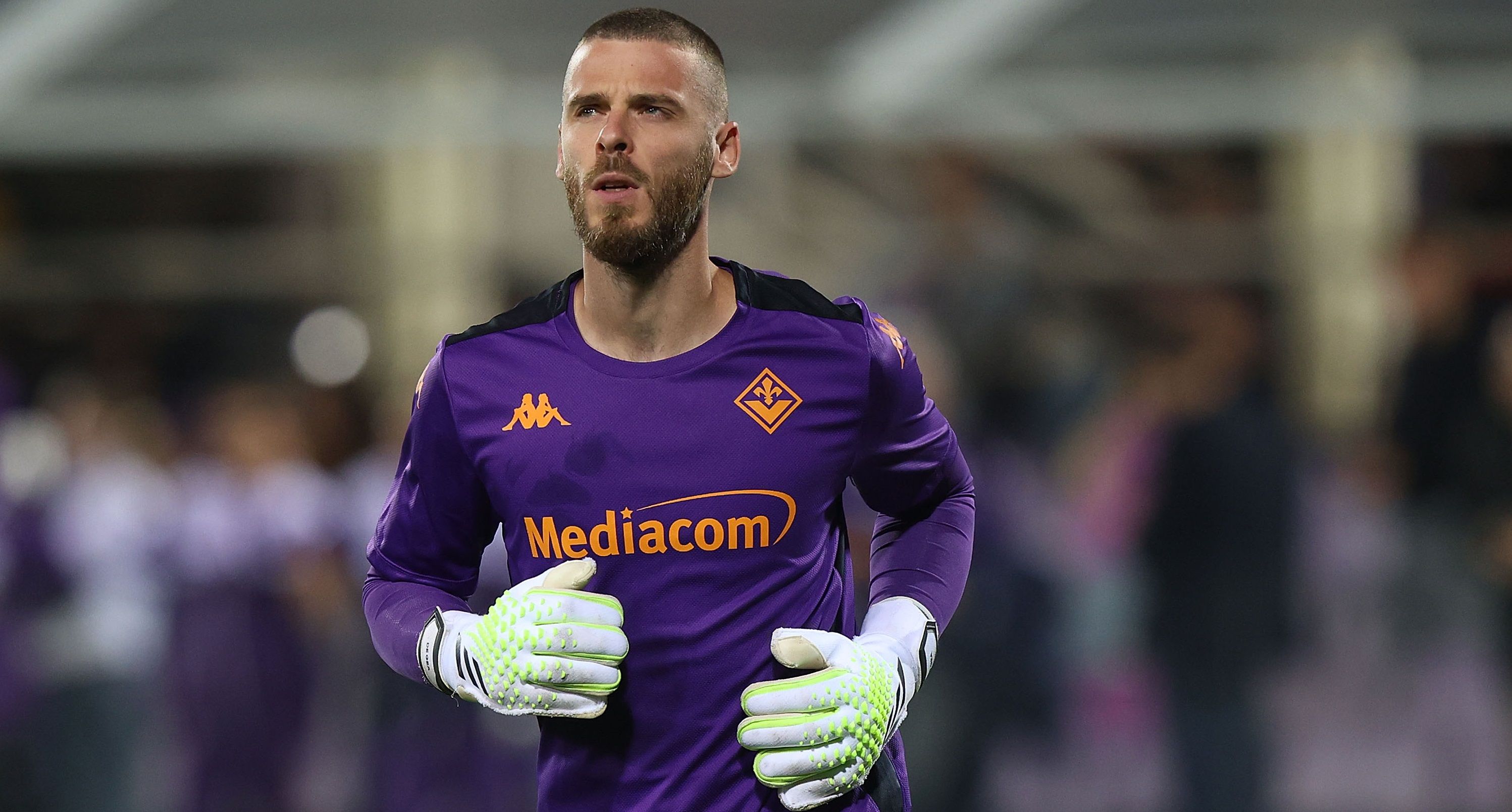 Давид Де Геа впечатляет своей игрой за Фиорентину Давид Де Геа впечатляет своей игрой за Фиорентину