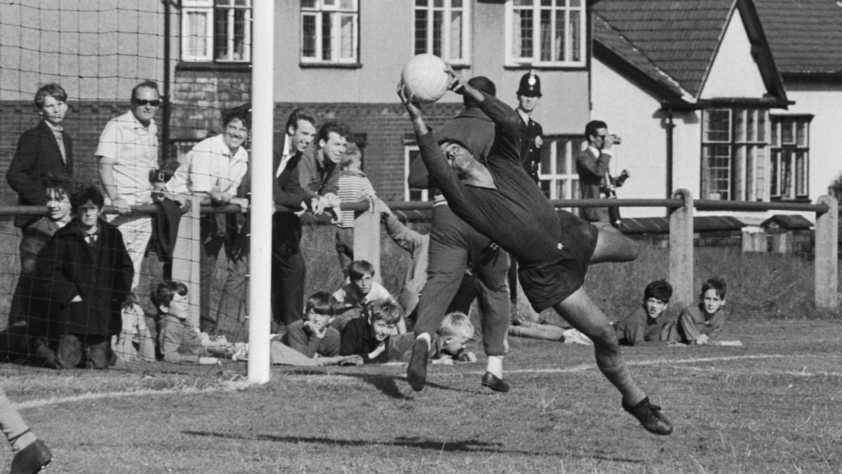 Помер Манга Аїлтон - що відомо про легендарного бразильського голкіпера Помер Манга Аїлтон - що відомо про легендарного бразильського голкіпера