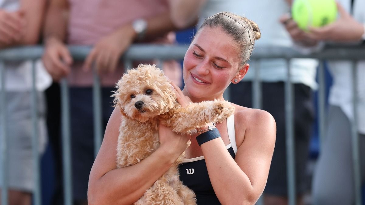 Марта Костюк с собачкой Мандером после победы над Эммой Радукану в Мадриде Марта Костюк с собачкой Мандером после победы над Эммой Радукану в Мадриде