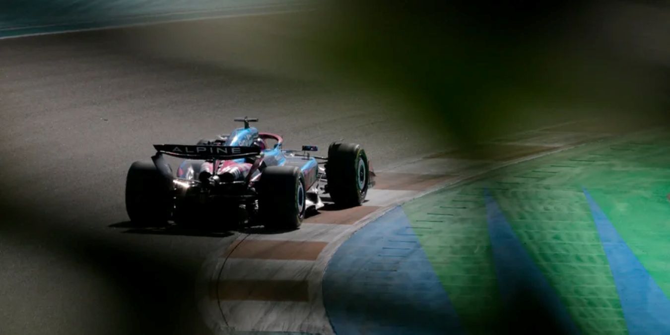 Кролик повредил машину. Кролик повредил машину.