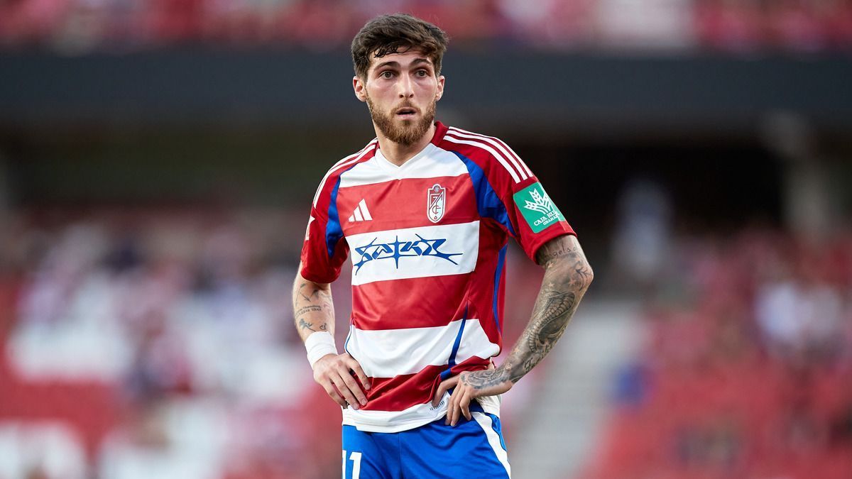 Цітаішвілі не повернеться у Київ