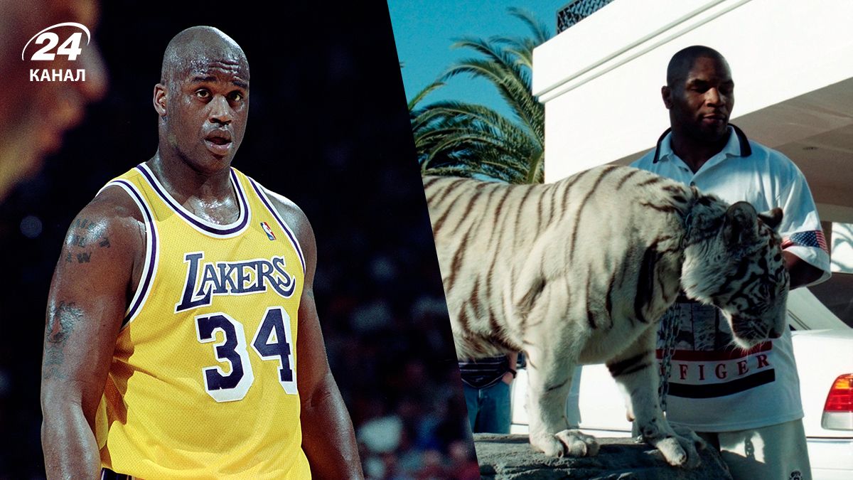 Майк Тайсон взяв тигра на зустріч з Шакілом О’Нілом Майк Тайсон взяв тигра на зустріч з Шакілом О’Нілом