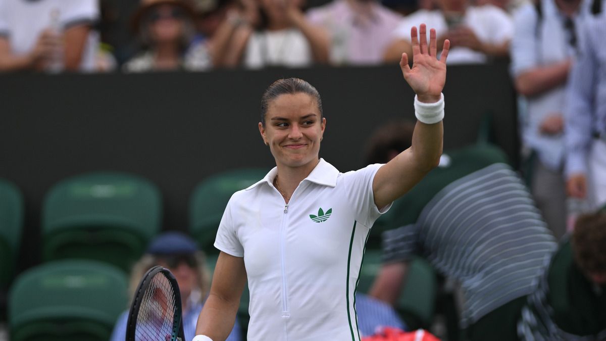Мария Саккари спасла жука на теннисном матче в Вашингтоне - видео