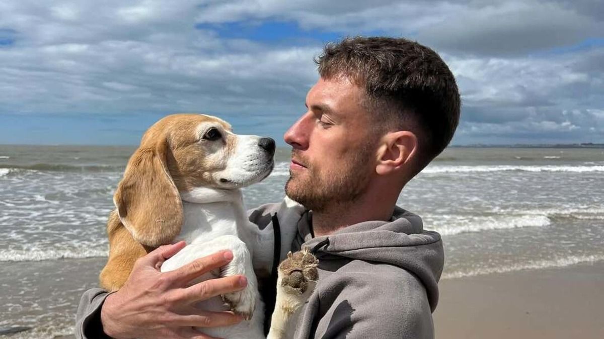 Футболіст Аарон Рамзі розшукує собаку - яку винагороду він виплатить 