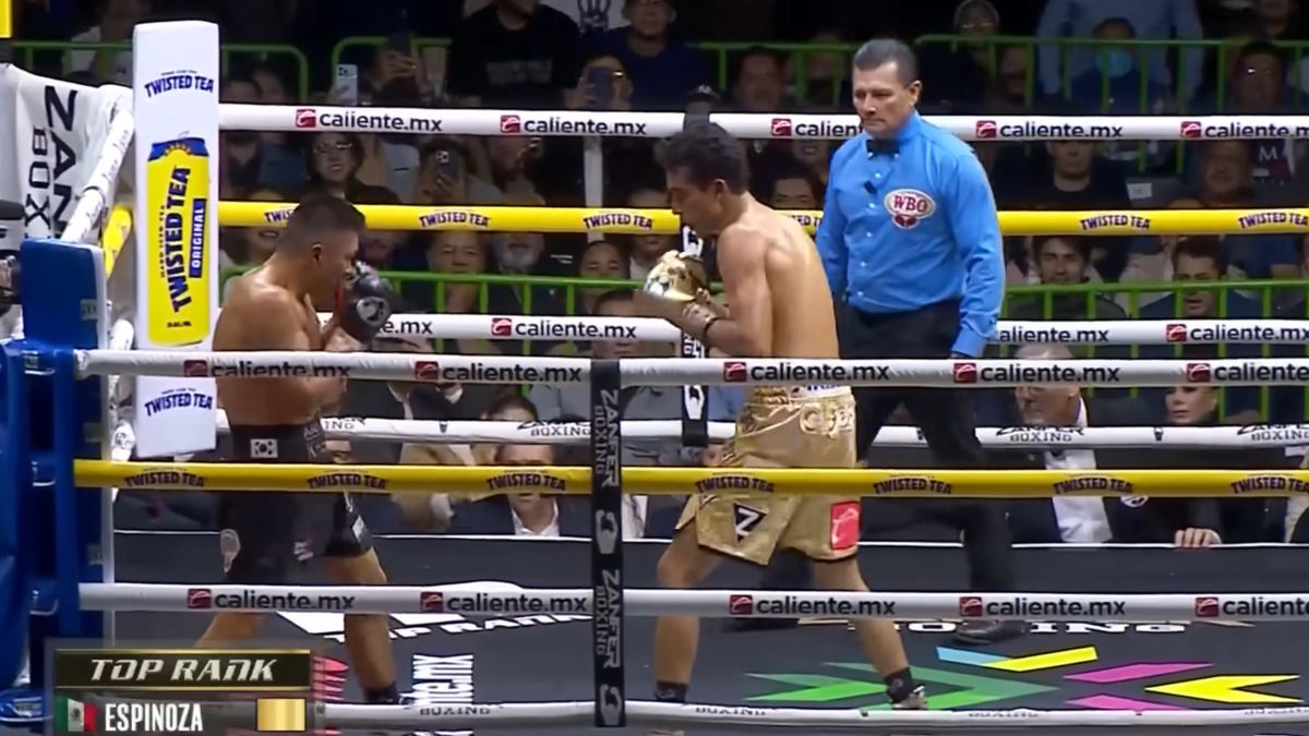 Хегай - Эспиноса - результат, видео чемпионского боя 16 ноября Хегай - Эспиноса - результат, видео чемпионского боя 16 ноября