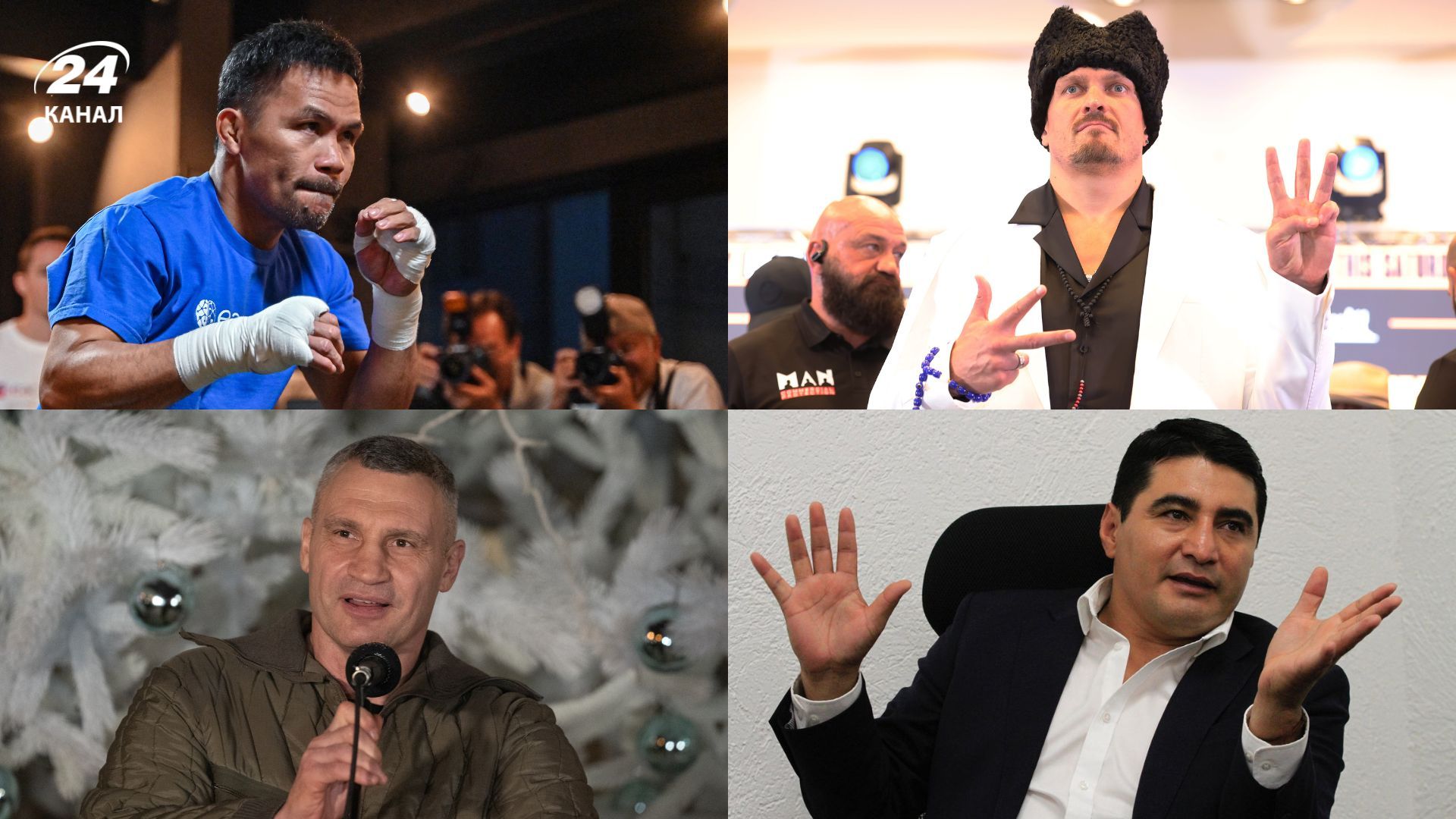 Боксеры в политике