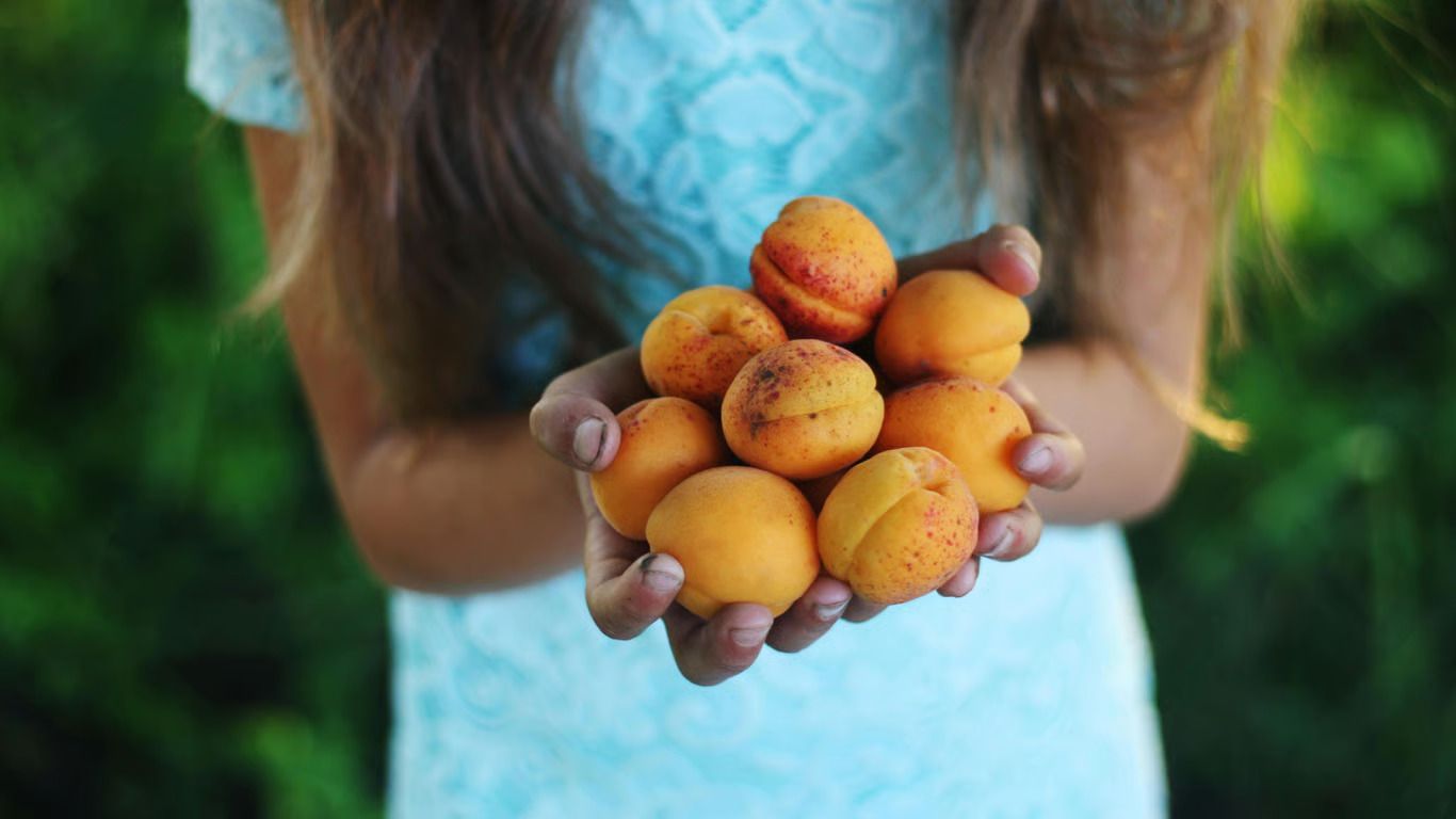 Колишній боксер викрав абрикоси та побив жінку